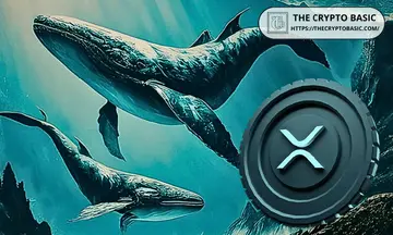 Транзакції китів XRP на суму понад 1 мільйон доларів впали на 57% за 9 днів