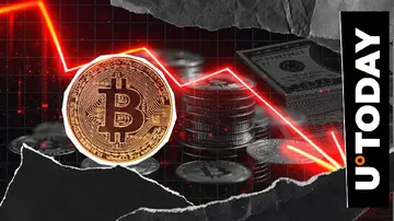 $375,000,000 Биткойнов за 24 часа: Институциональные киты становятся негативными