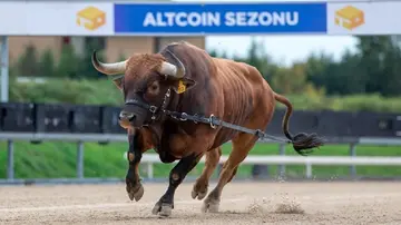 Важливий прорив у альткоїнах: перший знак нового сезону альткоїнів чи відновлення ведмежого ринку? Аналітик пояснює!