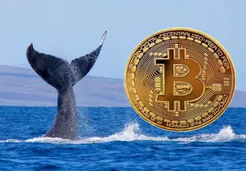 Вчера произошло самое крупное перемещение биткоинов китами за последнее время: вот что они сделали