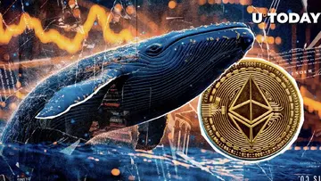 Величезний кит Ethereum раптово здійснив переказ $12 мільйонів ETH на провідну біржу