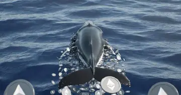 Велика риба Ethereum Trend Research закриває позицію в ETH, оскільки збитки досягають 747 мільйонів доларів.