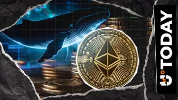 Великий гравець Ethereum купує ETH на 100 мільйонів доларів, оскільки активність у мережі досягає рекордних значень