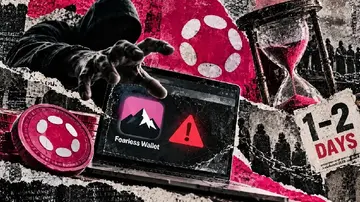 Витік гаманця Polkadot, який тривав 20 місяців, виявляє темну сторону швидших криптовалютних зняттів