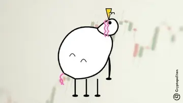 Виверження гаманців кита Піппіна викликало 50% падіння, оскільки не було жодних попереджувальних сигналів