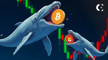 Вливання китів SHIB знизились на 83% в умовах зростання домінування Bitcoin