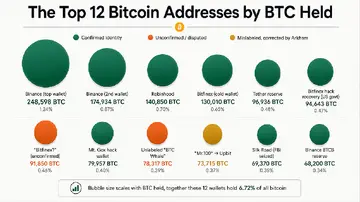 Всередині топ-12 адрес Bitcoin: хто володіє 1,35 мільйона BTC
