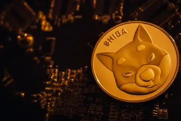 Втрата спотових потоків Shiba Inu (SHIB) на -1,813% не та, чим здається