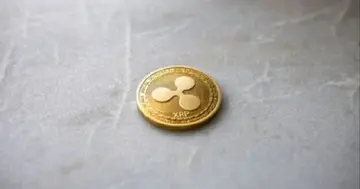 XRP демонструє рекордне зростання в гаманцях великих власників, оскільки накопичення перевищує волатильність