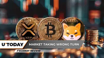 XRP різко падає нижче $2, Біткоїн (BTC) на межі втрати $80,000, Shiba Inu (SHIB) втрачає всі виграні нижче рівні