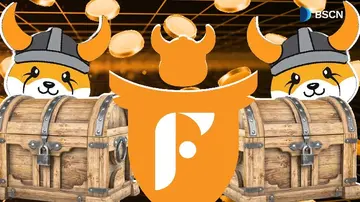 Как работает FlokiFi Locker?