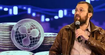Засновник Cardano (ADA) Чарльз Хоскінсон обговорює майбутнє ADA, XRP та свій новий альткоїн