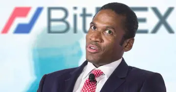 Згідно з даними блокчейну, засновник BitMEX Артур Хейс придбав цей альткоїн! Ось деталі