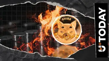 Знищено 19 513 946 SHIB, рівень спалювання Shiba Inu зріс на 159%